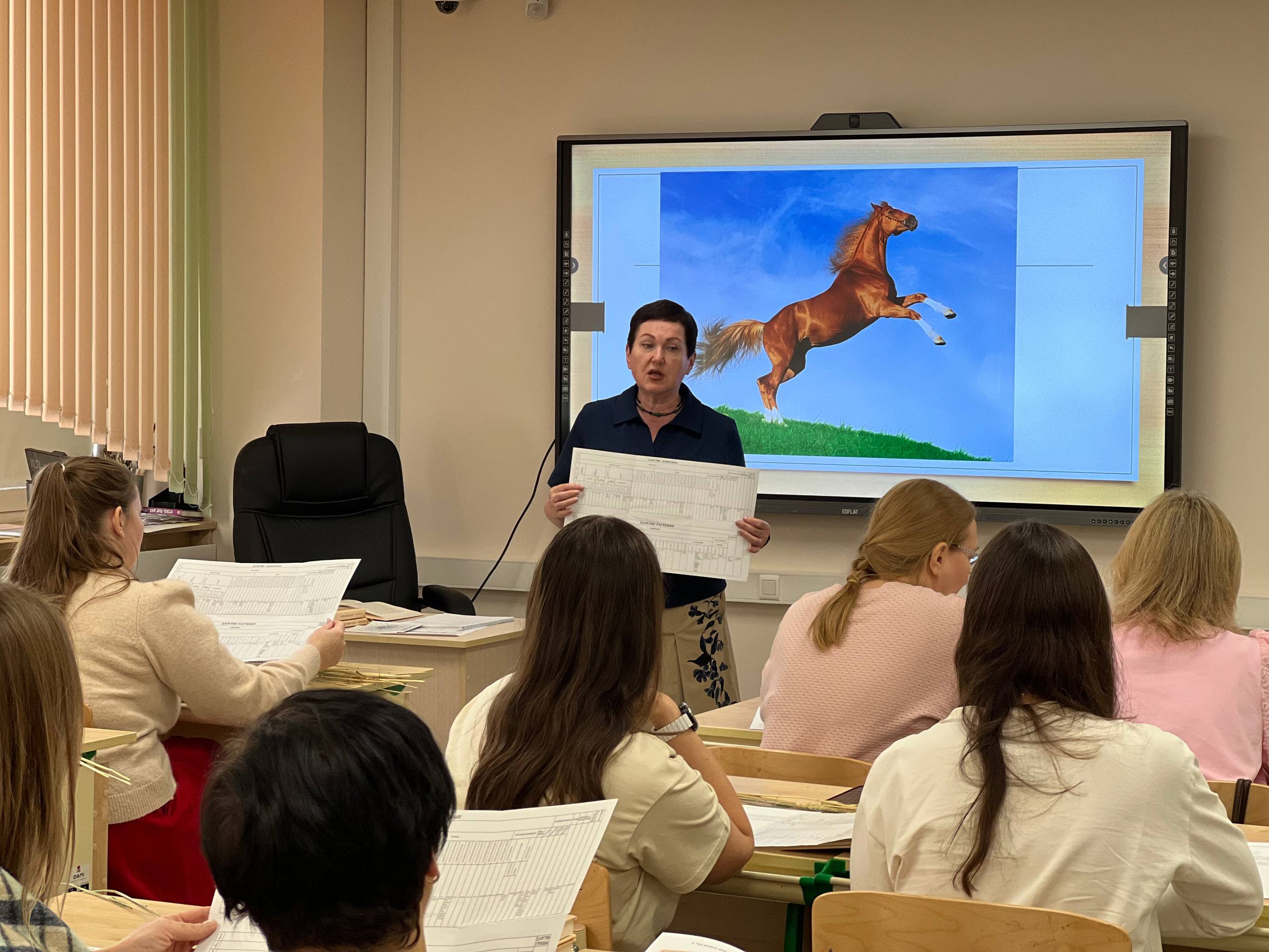 photo 5436008311637015510 w