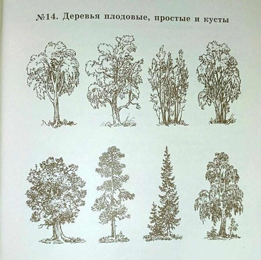 1 класс. Уроки № 33, 34 по Первой после Азбуки книге для чтения - Русская  Классическая Школа